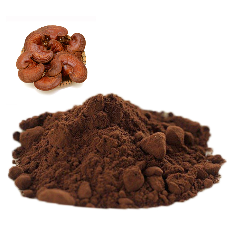 Organic Mushroom Supplement with Reishi Support
